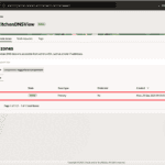 OCI Private DNS Terraform resolver console